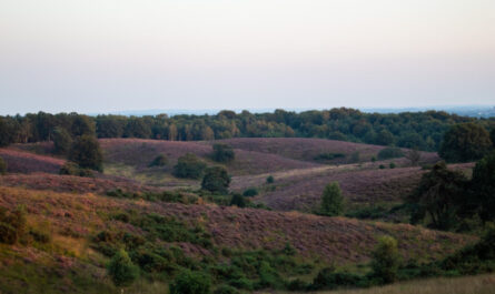 doen in Gelderland