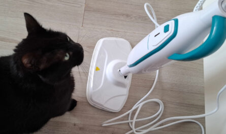 EasyClean stoomdweil