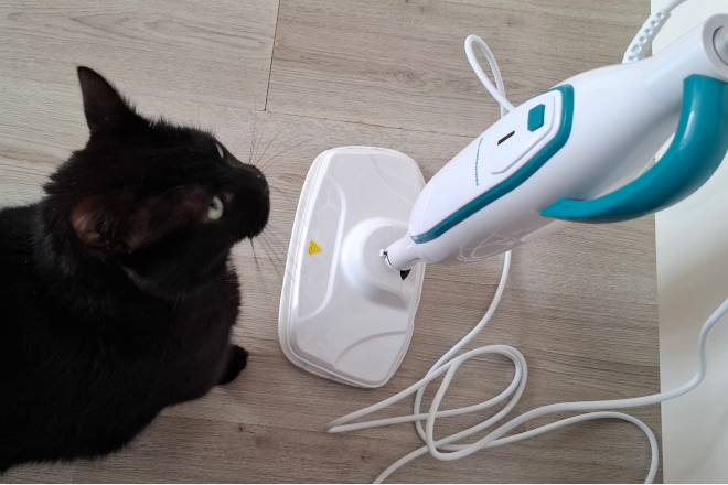 Review: Wellewares EasyClean stoomdweil
