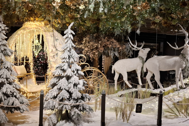 kerstshow Intratuin Duiven